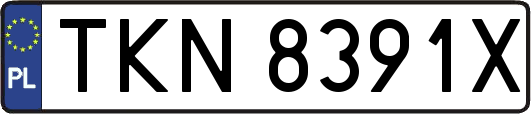 TKN8391X