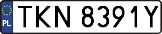 TKN8391Y