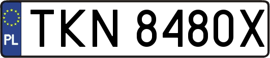 TKN8480X