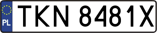 TKN8481X