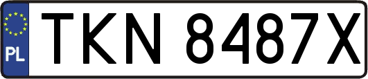 TKN8487X