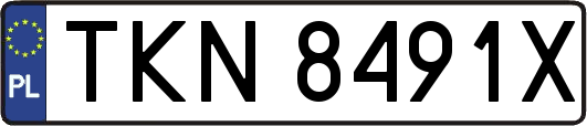 TKN8491X