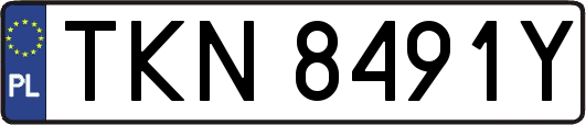 TKN8491Y