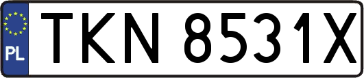 TKN8531X