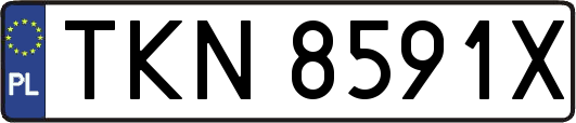 TKN8591X