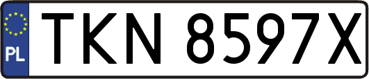 TKN8597X