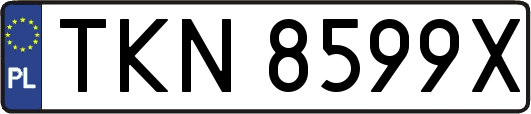 TKN8599X