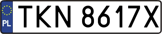 TKN8617X