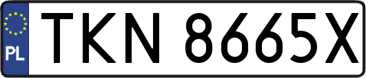 TKN8665X