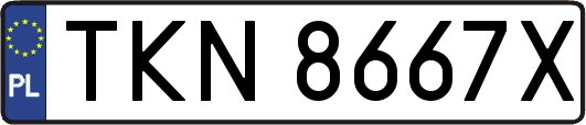 TKN8667X