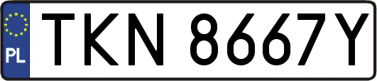 TKN8667Y