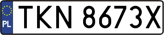 TKN8673X
