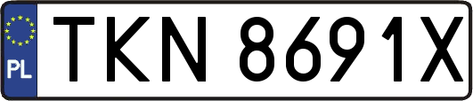 TKN8691X