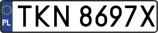 TKN8697X