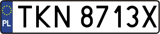 TKN8713X