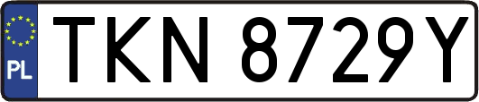 TKN8729Y