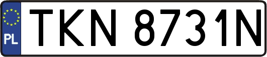 TKN8731N