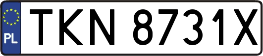 TKN8731X