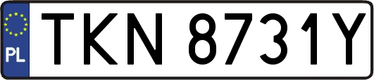TKN8731Y