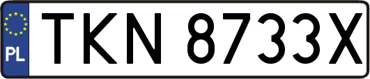 TKN8733X