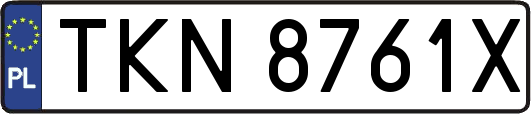 TKN8761X