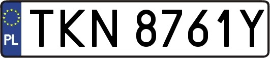 TKN8761Y