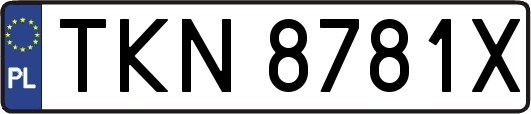 TKN8781X