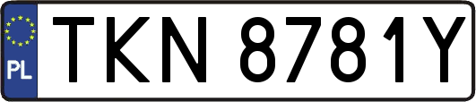 TKN8781Y