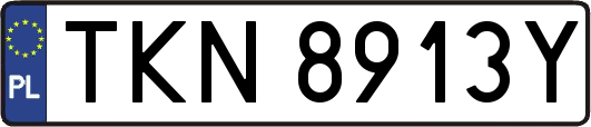 TKN8913Y