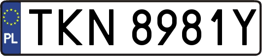 TKN8981Y