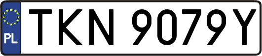TKN9079Y