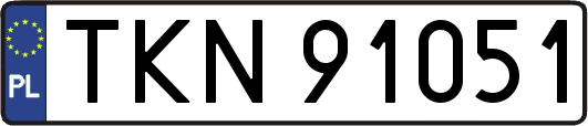 TKN91051
