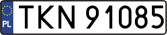 TKN91085