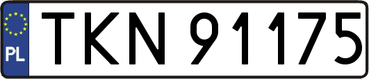 TKN91175