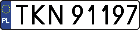 TKN91197