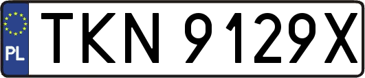 TKN9129X