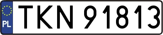 TKN91813