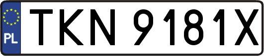 TKN9181X
