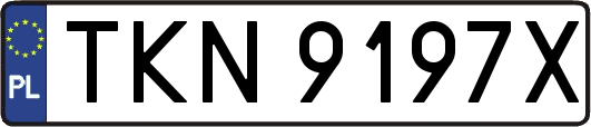 TKN9197X