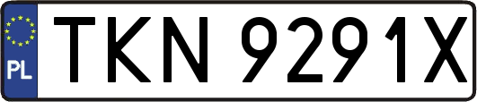 TKN9291X
