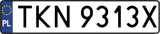 TKN9313X