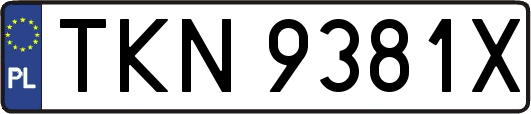 TKN9381X