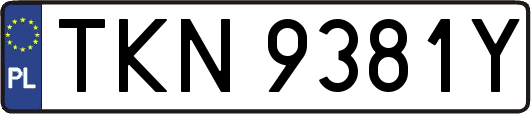 TKN9381Y
