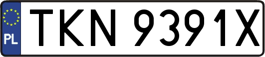 TKN9391X