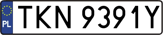 TKN9391Y