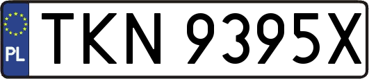 TKN9395X