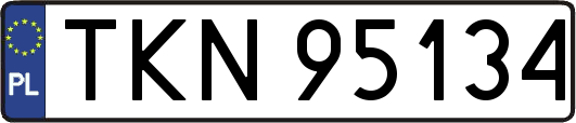 TKN95134
