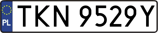 TKN9529Y