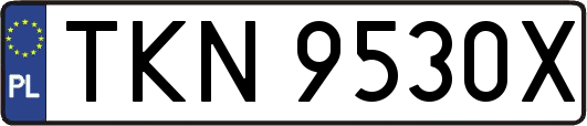 TKN9530X