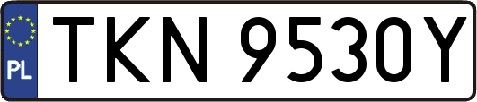TKN9530Y
